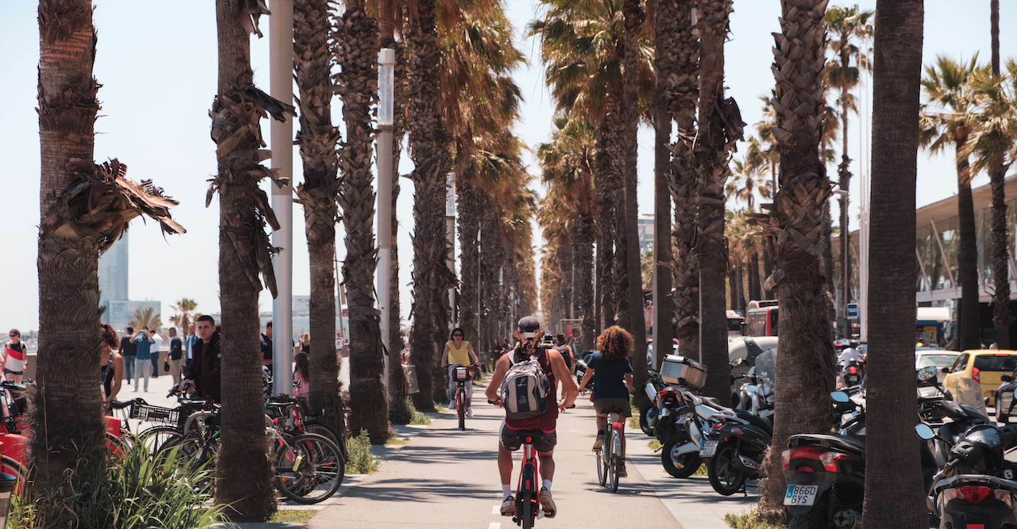 Barcelona: Guided Bike or E-Bike City Tour photo 11