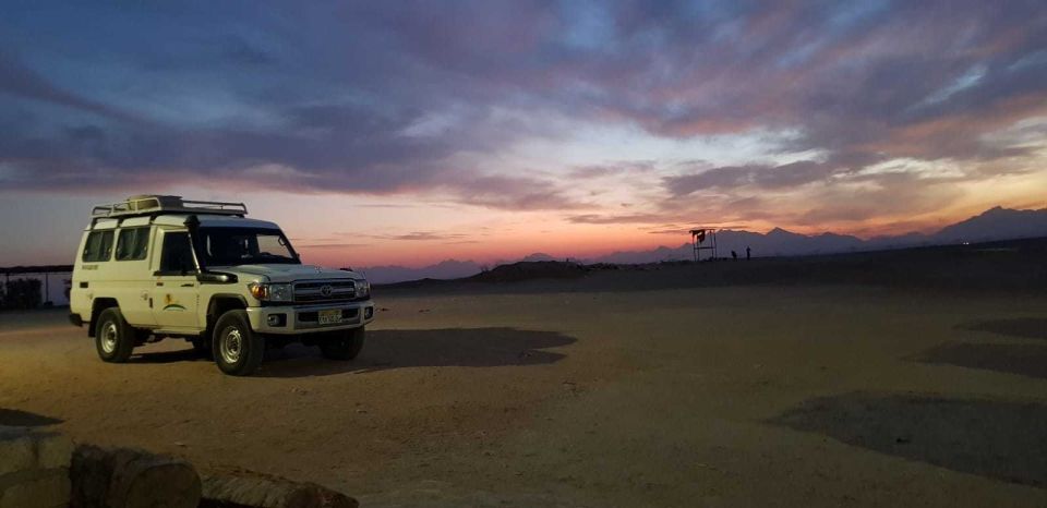 Hurghada: Avontuurlijke sterren kijken in de woestijn per jeep met diner |  GetYourGuide