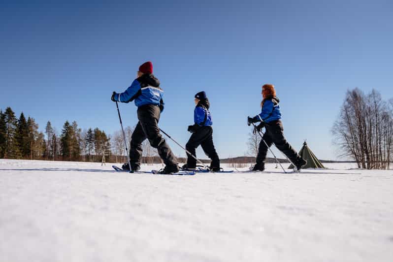 Rovaniemi Snowshoe Walk to The Arctic Nature GetYourGuide