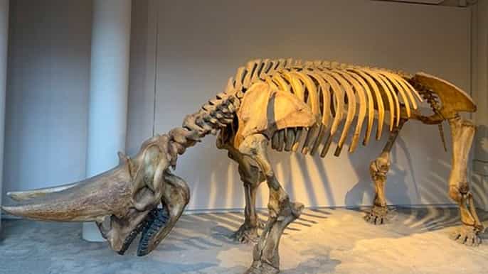 london familyfriendly natural history museum tour