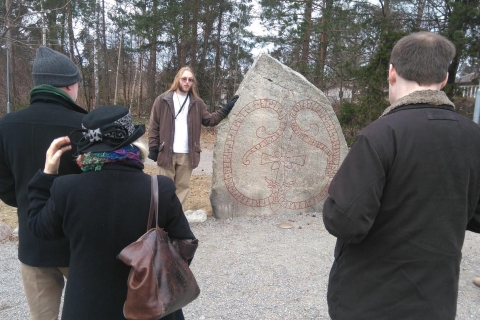 De Stockholm: visite d'une journée complète de la culture viking en petit groupe