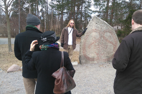 De Stockholm: visite d'une journée complète de la culture viking en petit groupe