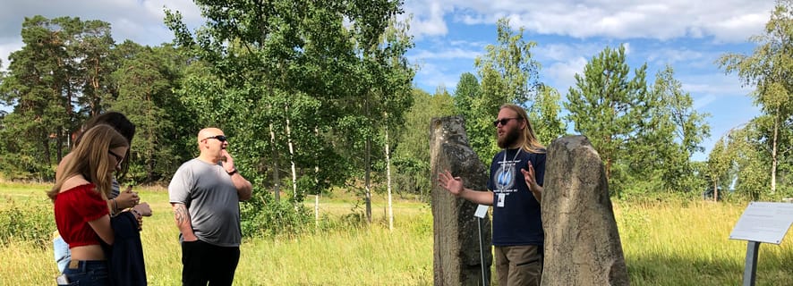 De Estocolmo: excursão de dia inteiro pela cultura viking em grupos pequenos