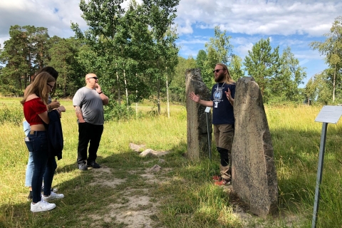 Desde Estocolmo: Tour de día completo en grupo de cultura vikinga