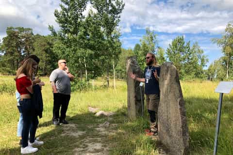 Från Stockholm: Heldagstur med vikingakultur i liten grupp