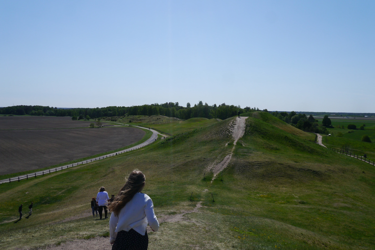 From Stockholm: Full Day Small Group Viking Culture Tour