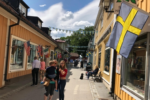 Ab Stockholm: Halbtägige Wikinger-Kulturtour