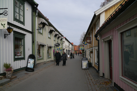 From Stockholm: Guided Day Trip to Sigtuna City