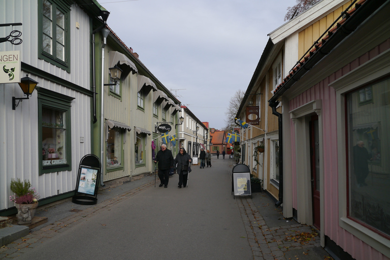 Stockholm: Visite guidée de la ville la plus ancienne du village de Sigtuna en Suède