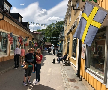 Från Stockholm: Guidad dagsutflykt till Sigtuna stad