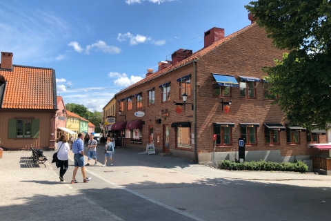 Stockholm: Visite guidée de la ville la plus ancienne du village de Sigtuna en Suède