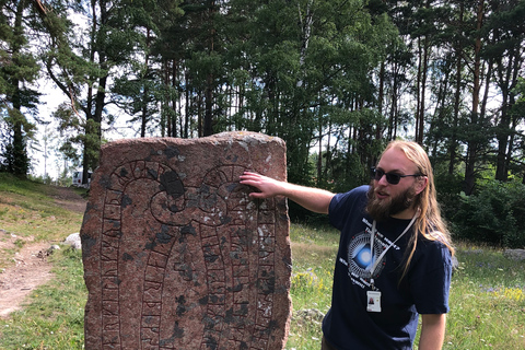 De Stockholm: visite en petit groupe de la culture et du patrimoine viking