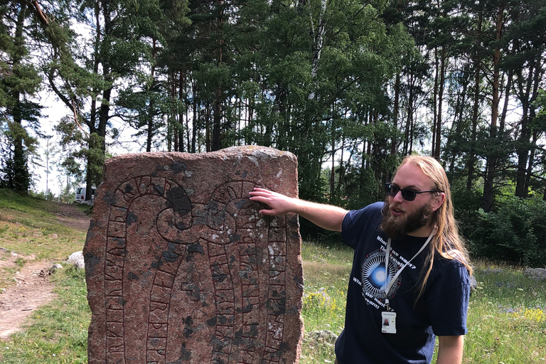 De Stockholm: visite en petit groupe de la culture et du patrimoine viking