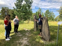 From Stockholm, Viking Culture and Heritage Small Group Tour - Housity