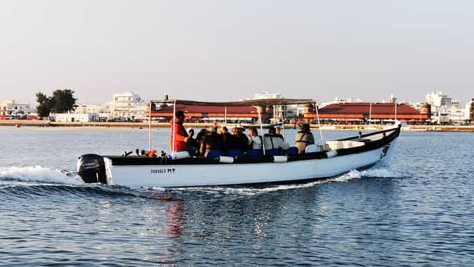 ria formosa 1.5hour nature and islands tour