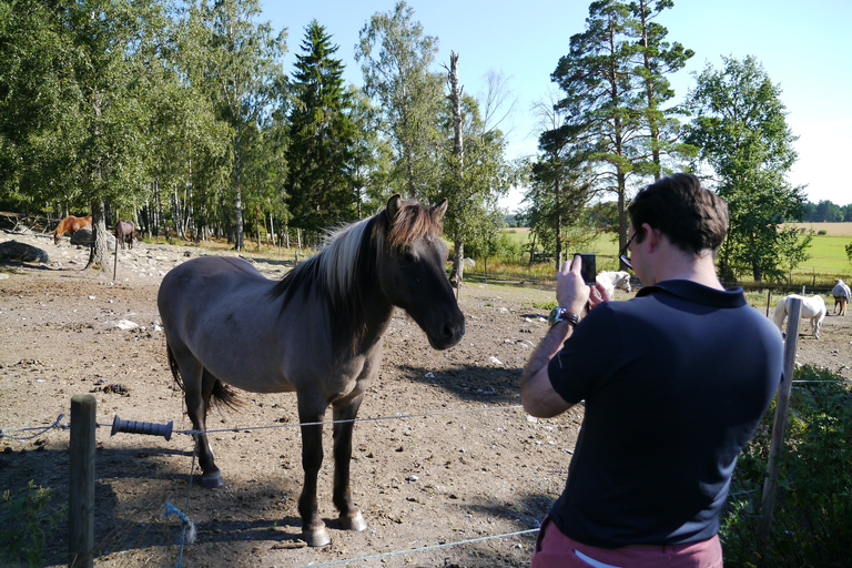 Markim-Orkesta: Historical Tour in Swedish Countryside