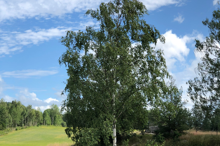 Markim-Orkesta: Historische Tour in schwedischer Landschaft