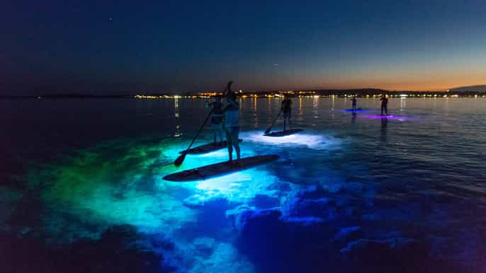 medulin standup paddle boarding evening glow tour