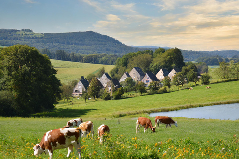 Zurich Tour privado a Liechtenstein y Heidilandia