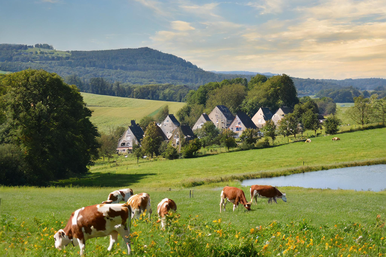 Zürich Private Tour nach Liechtenstein und ins Heidiland