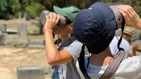 Olympia, Tour della Realtà Virtuale Autoguidata di Olympia - Hizvo