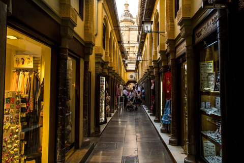 Granada: tour de medio día por 4 barrios y 4 culturas