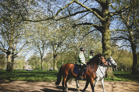 London: Premium 20+ Sights Tour with Expert Local Guide