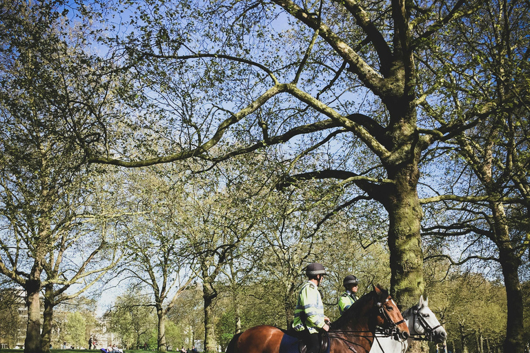 London: Premium 20+ Sights Tour with Expert Local Guide