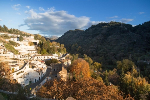 Granada: Half-Day 4-Neighborhoods 4-Cultures Tour