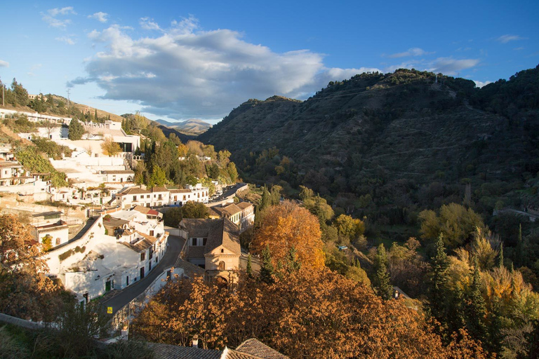 Granada: Halvdagstur: 4 stadsdelar och 4 kulturerGranada: Halvdags 4-kvarter 4-kulturer Tour