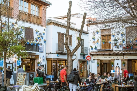 Granada: Halve dag tour met 4 buurten en 4 culturen
