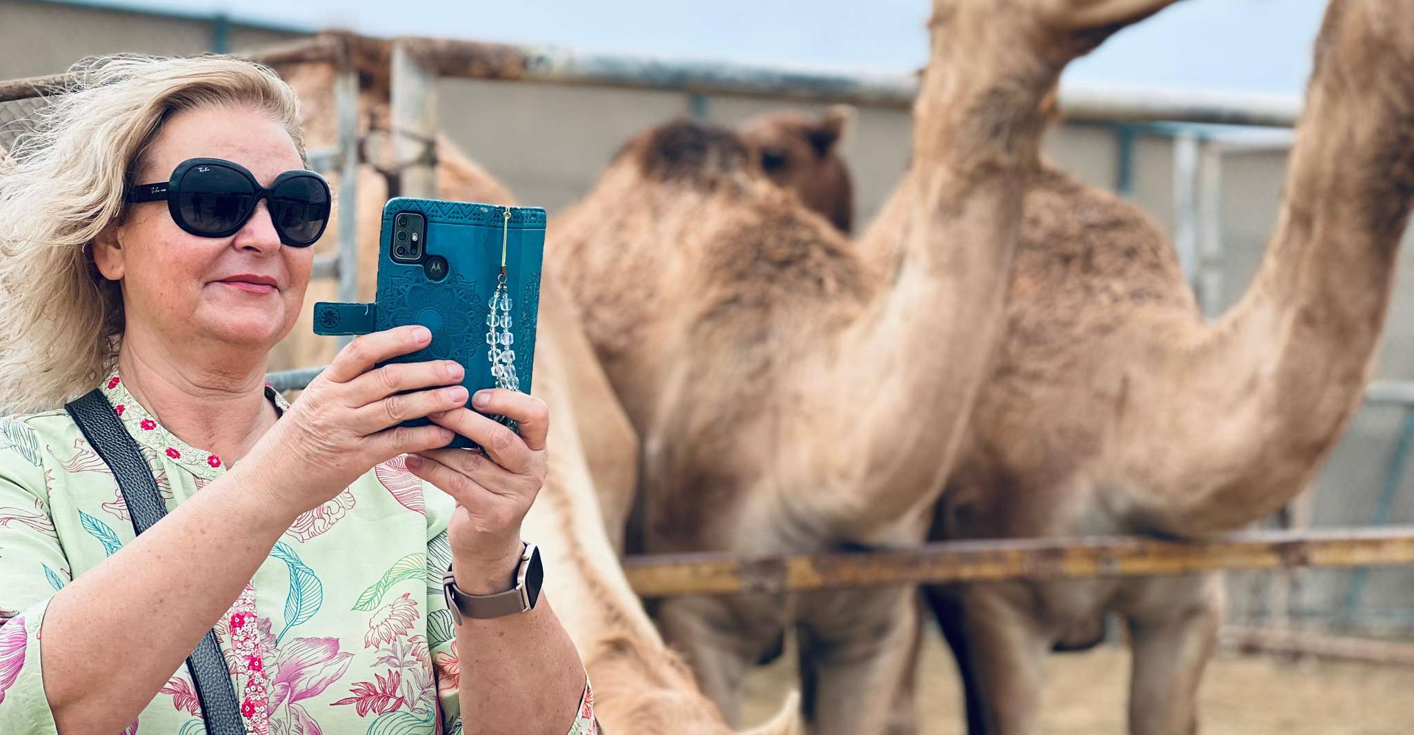 Bahrain in a Day from City Lights to Desert Landscapes photo 1