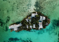 Grow Cave, Jozani Forest, Spice Tour, The Island Pongwe - Housity