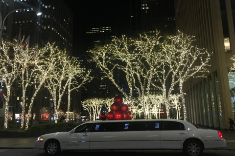 Vanuit Manhattan: privétocht Kerst in Brooklyn per limousine