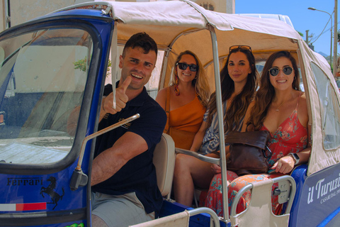 Sorrento: Lemons grove, Farm Tour&Tasting and Pizza Class Sorrento Coast: Enogastronomic Tour with Show & Tasting