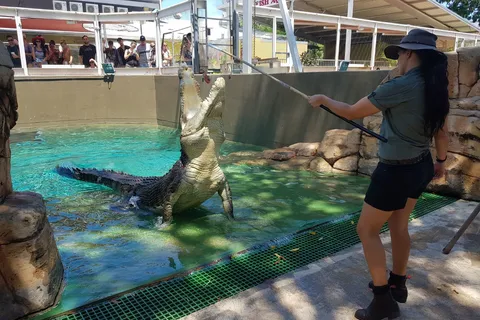 Crocosaurus Cove General Admission Ticket