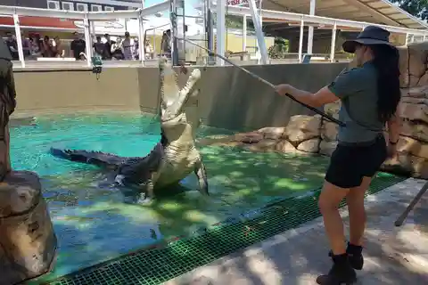 Billet d'entrée générale pour Crocosaurus Cove