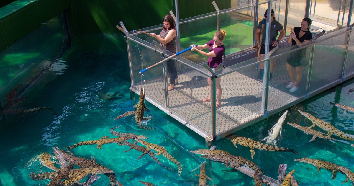 Crocosaurus Cove General Admission Ticket GetYourGuide
