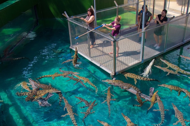 Crocosaurus Cove Algemeen Toegangsticket