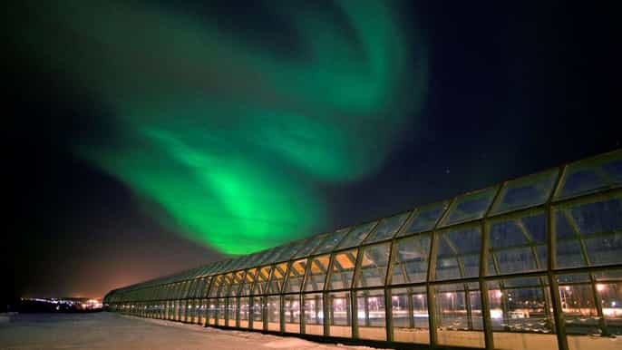 rovaniemi pass to arktikum korundi and pilke museums