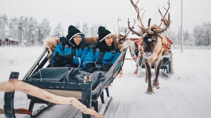 roaniemi 1hour reindeer journey