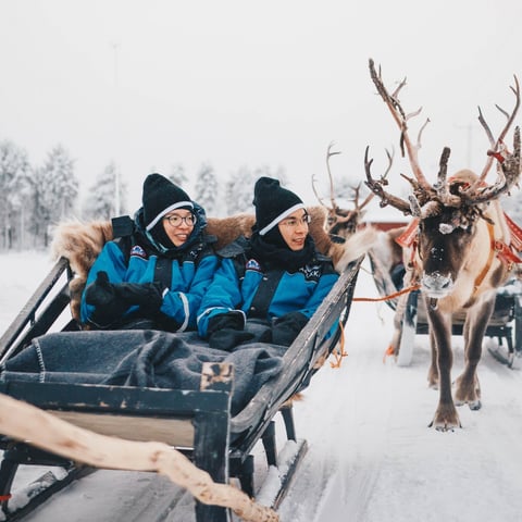 Activity image: Rovaniemi: Apukka Reindeer Journey