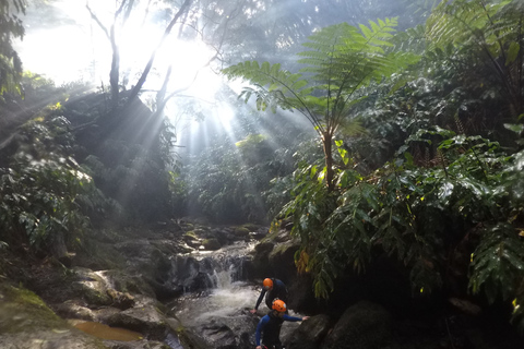 Sao Miguel, Azores: Canyoning Experience at Ribeira GrandeSao Miguel, Azores: Salto do Cabrito Canyoning Experience