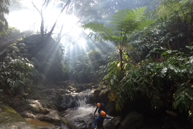 Ponta Delgada: Canyoning Experience