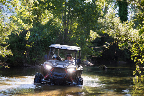 Dubrovnik: Kojan Koral Buggy Safari Tour