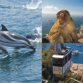Gibraltar: Dolphin Watch Cruise & Cable Car Fast Track Combo