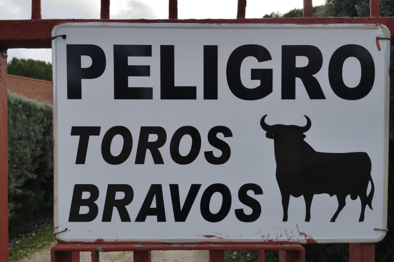 Madrid: Halbtägige Bullenzuchtfarm-Tour