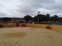 Madrid, Tour de la granja de cría de toros de medio día - Housity