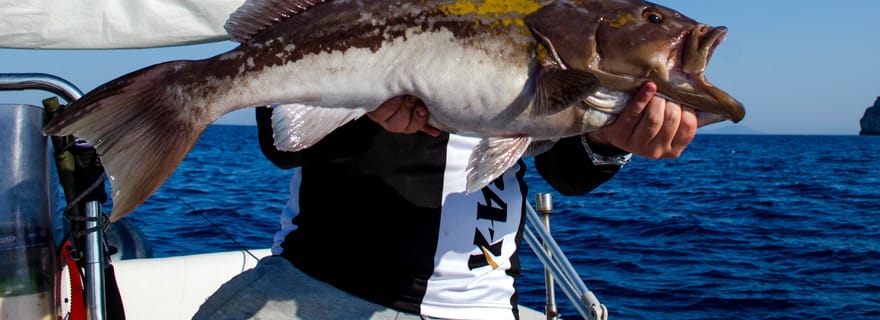 Chania : Excursion de pêche en bateau privé