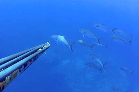 La Canée : excursion de pêche en bateau privé